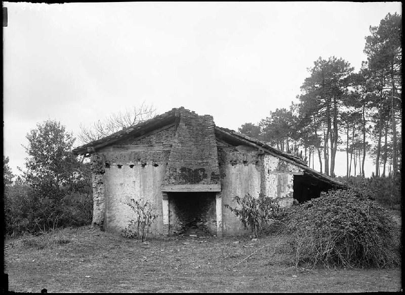 Maison en ruines - La Garrebosse (Saugnac) (Titre attribué)_0