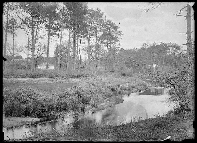 Quartier de Bordes - Trensacq (Landes) (Titre attribué)_0