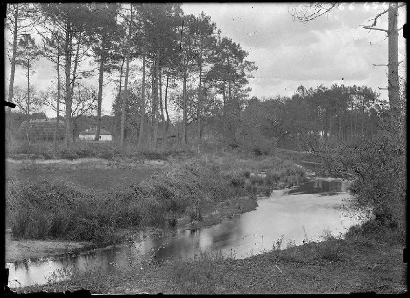 Quartier de Bordes - Trensacq (Landes) (Titre attribué)_0