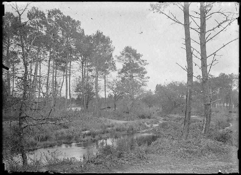 Quartier de Bordes - Trensacq (Landes) (Titre attribué)_0