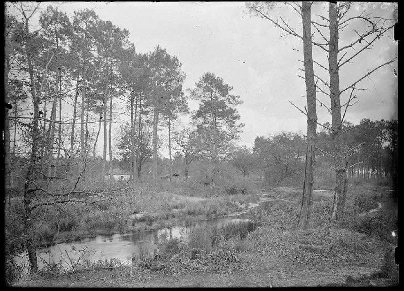Quartier de Bordes - Trensacq (Landes) (Titre attribué)_0