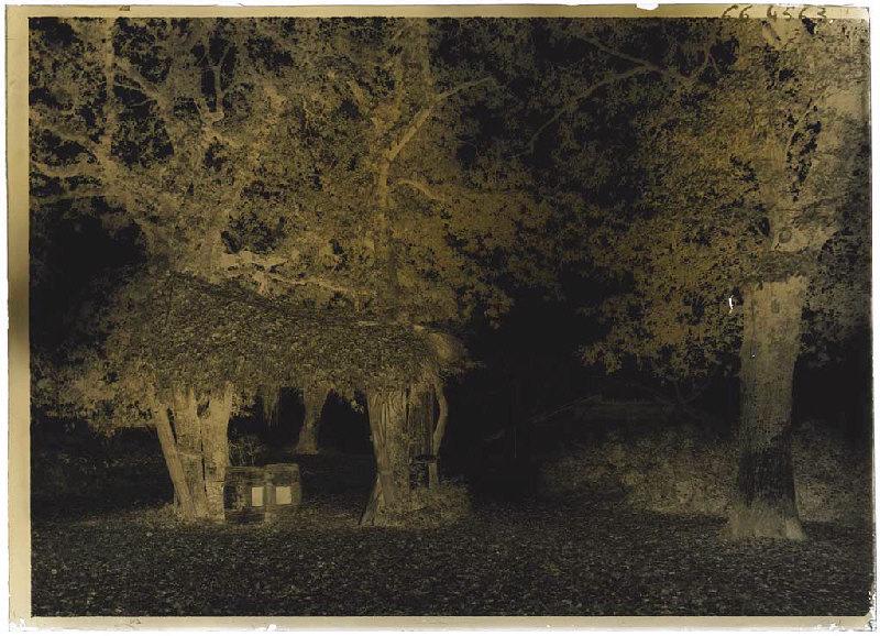 Bacqueserre (?) - Trensacq (?) (Landes) (Titre attribué)_1