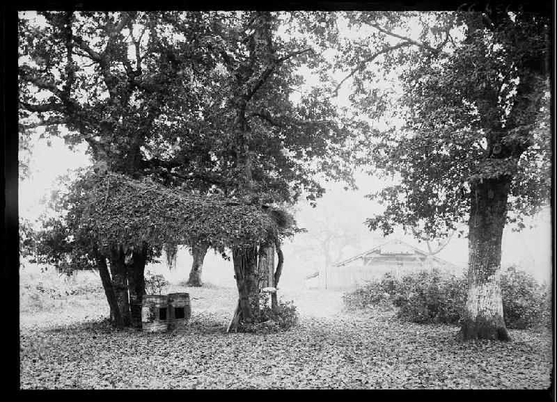 Bacqueserre (?) - Trensacq (?) (Landes) (Titre attribué)_0