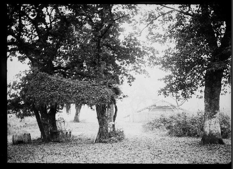 Bacqueserre (?) - Trensacq (?) (Landes) (Titre attribué)_0