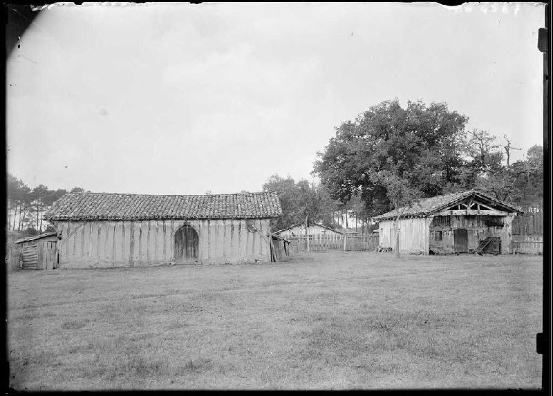 Maison Dubourg - (Trensacq) (Titre attribué)_0