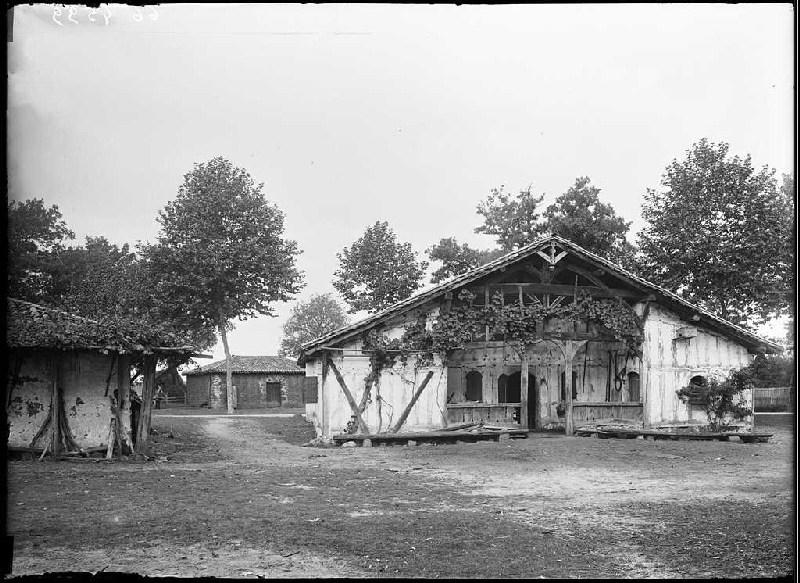 Maison à auvent et à vigne - Pariot (Ychoux) (Titre attribué)_0
