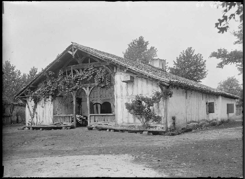 Maison à auvent et à vigne - Pariot (Ychoux) (Titre attribué)_0