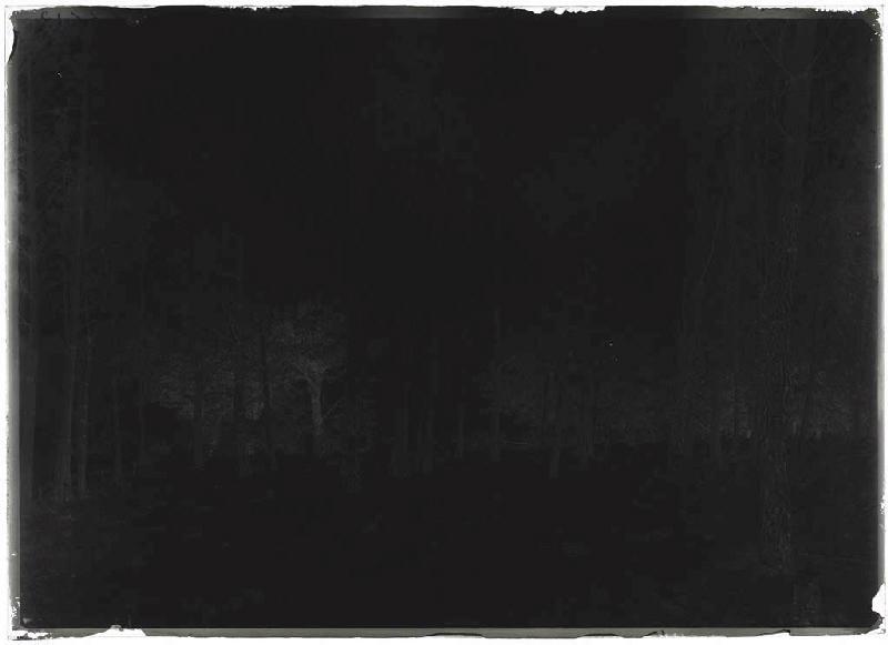 Vue sur la forêt - Harioou (?) (Ychoux) (Titre attribué)_1
