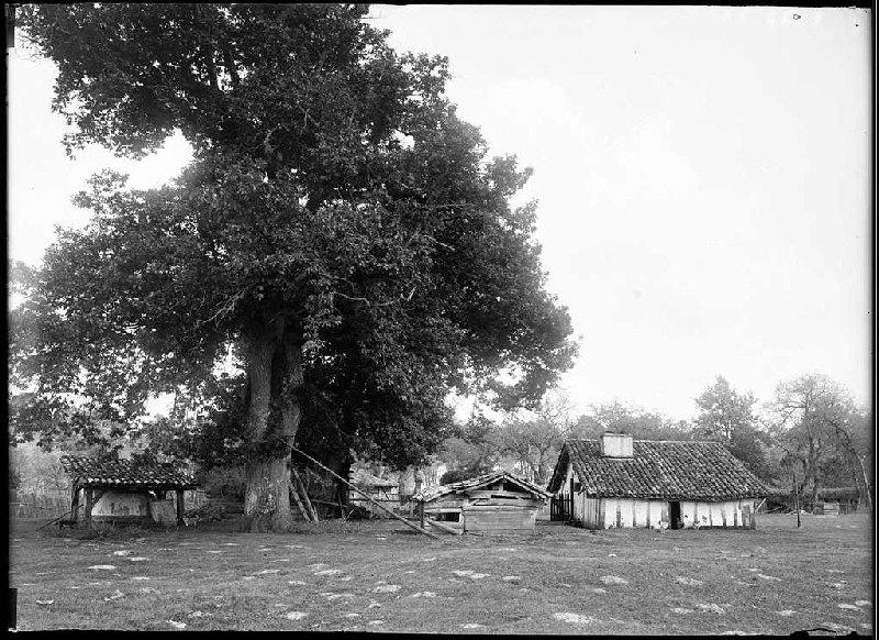 Maison - Bertrand (Ychoux) (Titre attribué)_0