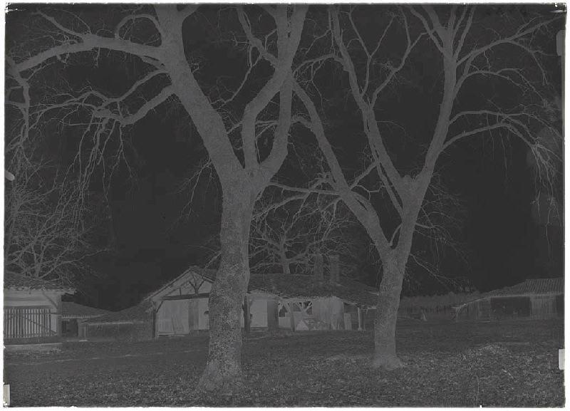 Maison et hangars - Bourricos (Pontenx) (Titre attribué)_1