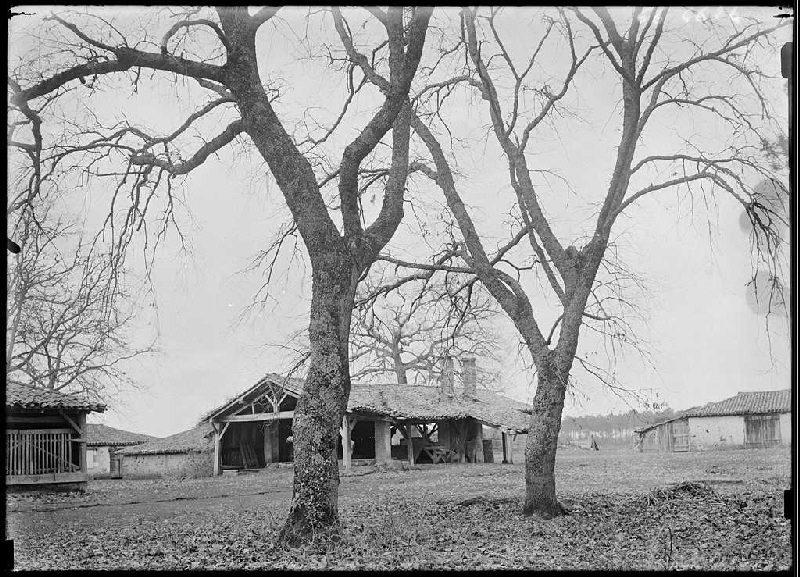 Maison et hangars - Bourricos (Pontenx) (Titre attribué)_0