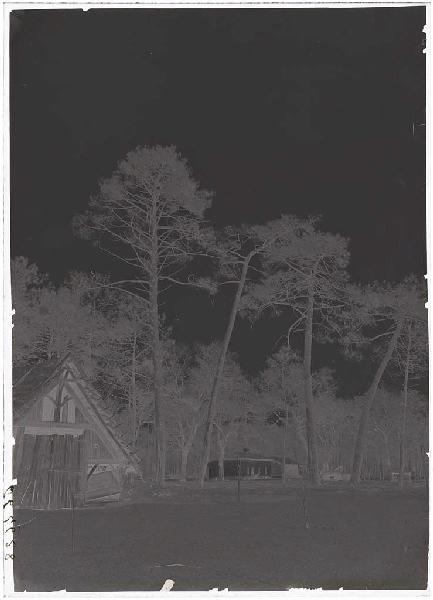 Maison et bergerie - Bourricos (Pontenx) (Titre attribué)_1