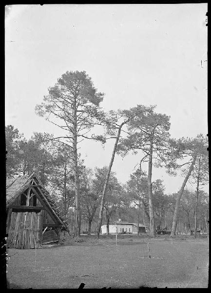 Maison et bergerie - Bourricos (Pontenx) (Titre attribué)_0