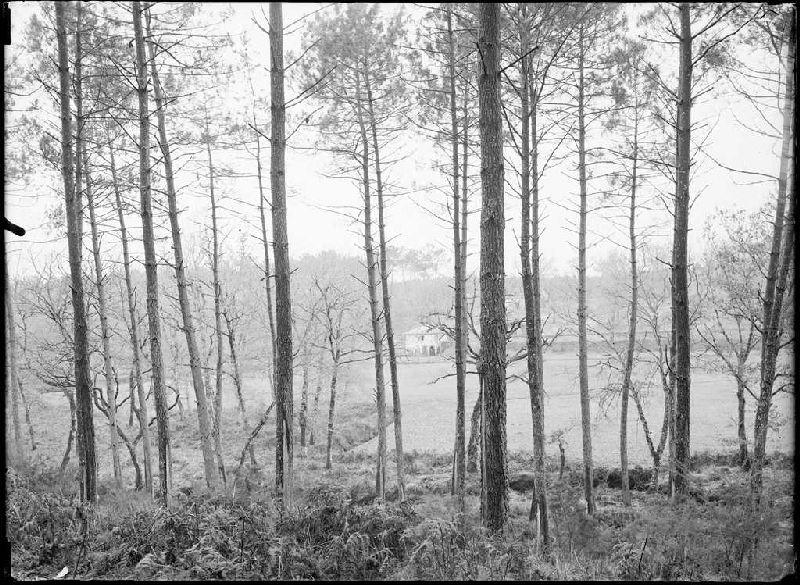 Moulin de la Moulasse - Lüe (Landes) (Titre attribué)_0