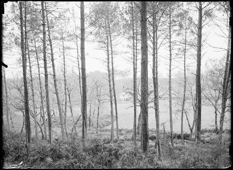 Moulin de la Moulasse - Lüe (Landes) (Titre attribué)_0