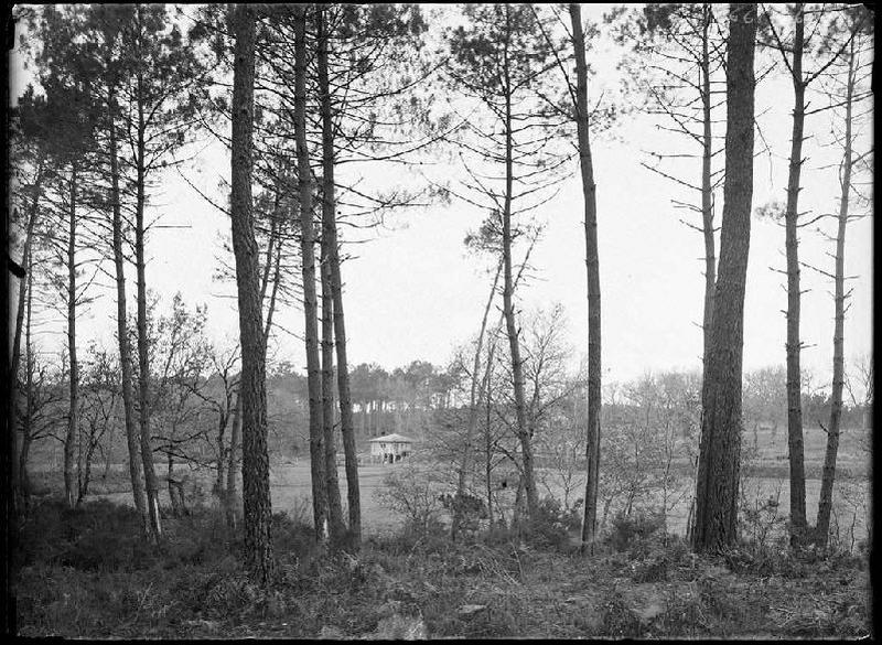 Moulin de la Moulasse - Lüe (Landes) (Titre attribué)_0