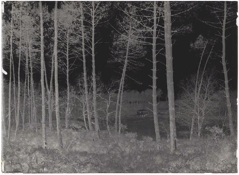 Moulin de la Moulasse - Lüe (Landes) (Titre attribué)_1