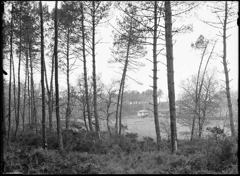 Moulin de la Moulasse - Lüe (Landes) (Titre attribué)_0