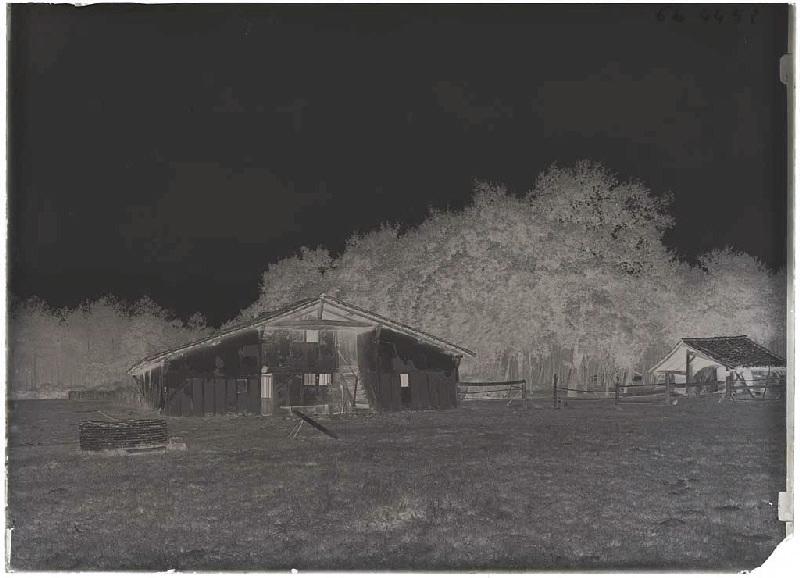 Maison Lensigne - Cornalis (Morcenx) (Titre attribué)_1