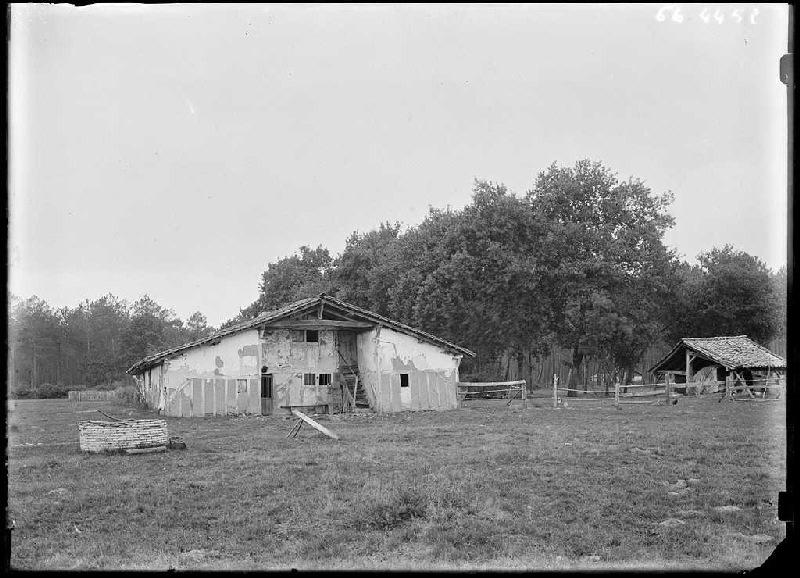 Maison Lensigne - Cornalis (Morcenx) (Titre attribué)_0