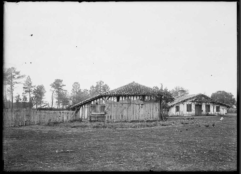 Maison et estaoulis - Pariot (Ychoux) (Titre attribué)_0