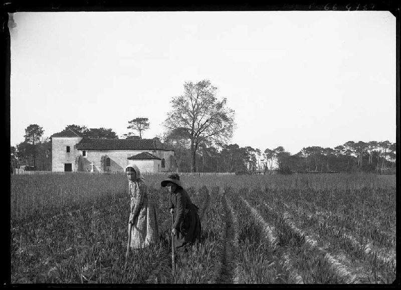 Église et sarcleuses - Gastes (Landes) (Titre attribué)_0