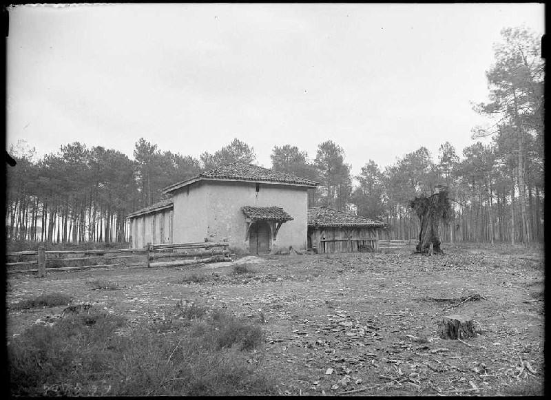 Chapelle Saint-Pierre - Mézos (Landes) (Titre attribué)_0