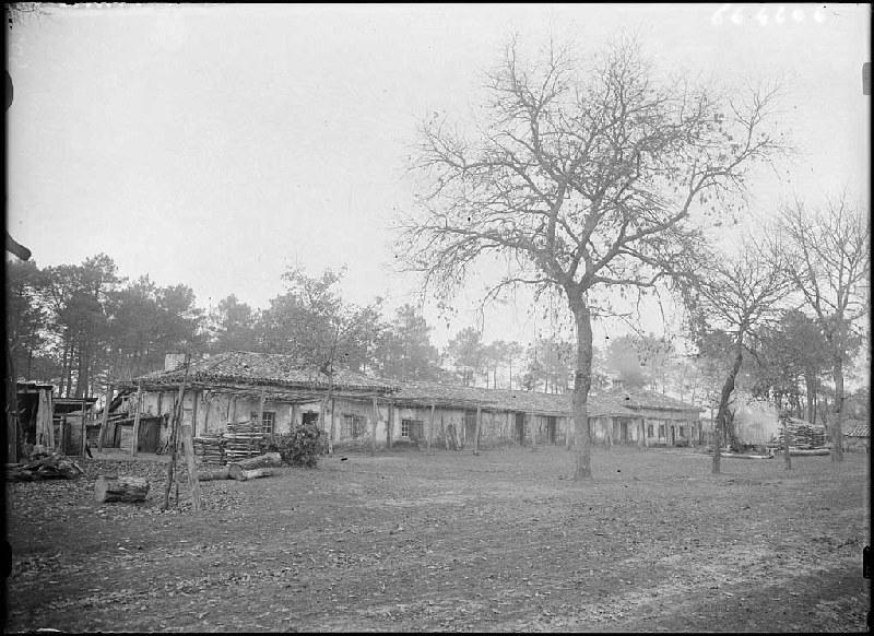 Ancienne maison des Balhadère - Cantegrit (Commensacq)_0