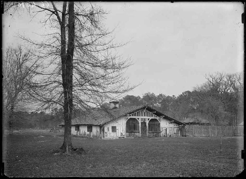Maison à auvent - Gaye (Escource)_0