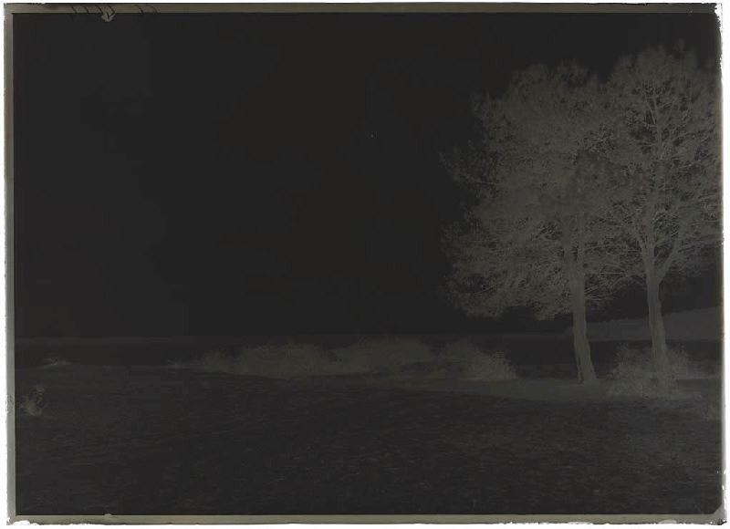 La Pandelle - Parentis (Landes) (Titre attribué)_1