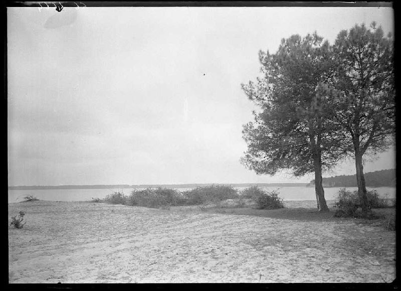 La Pandelle - Parentis (Landes) (Titre attribué)_0