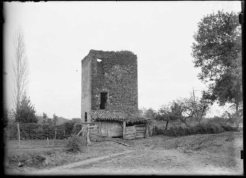 Tour de la Carreyre ou de 'Corados' - Arjuzanx (Landes) (Titre attribué)_0