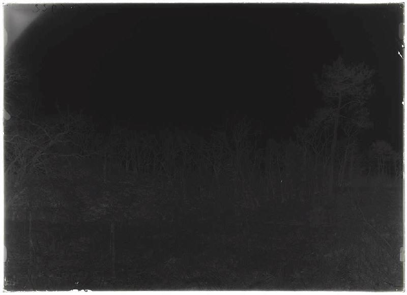 Motte du château - Laharie (Landes) (Titre attribué)_1