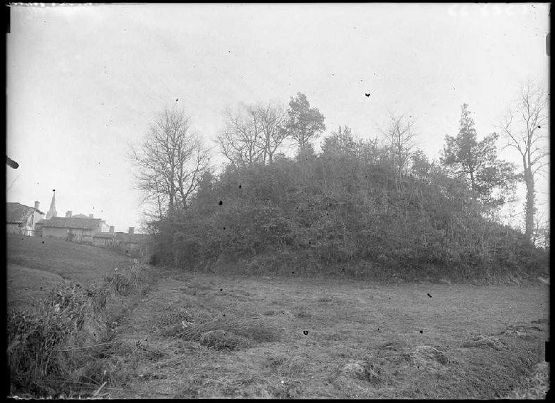 Motte du château - Belin-Beliet (Gironde) (Titre attribué)_0