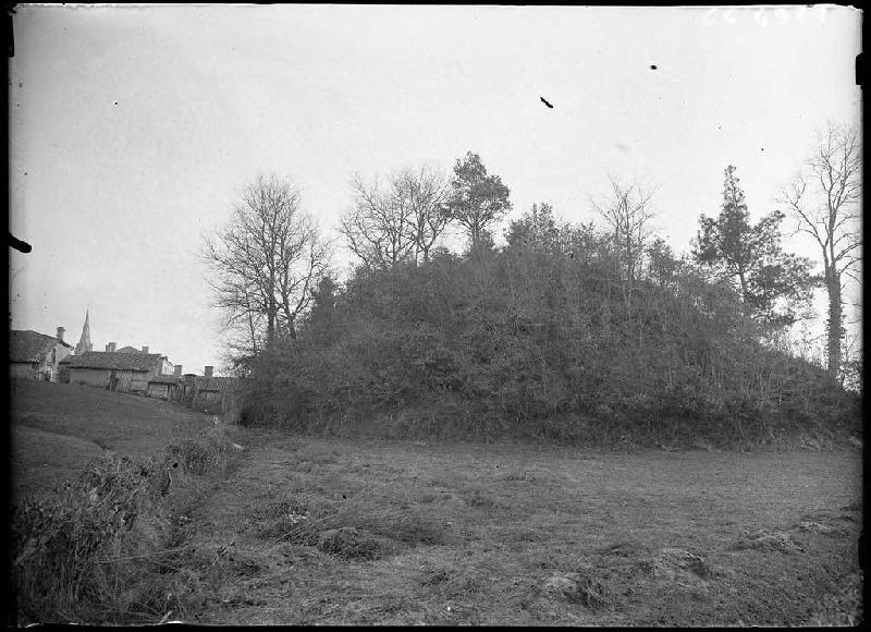 Motte du château - Belin-Beliet (Gironde) (Titre attribué)_0