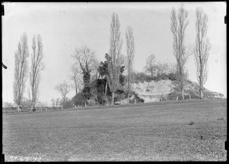 Butte du château - Belin-Beliet (Gironde) (Titre attribué)_0