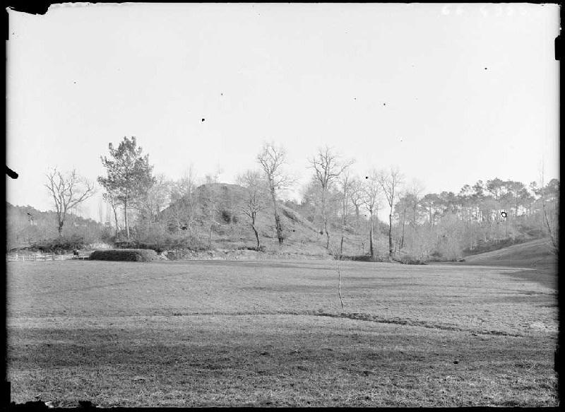 'Les Castras' - Saugnac (Landes) (Titre attribué)_0