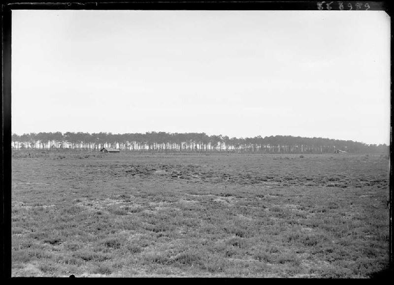 La Bruze - Commensacq (Landes) (Titre attribué)_0