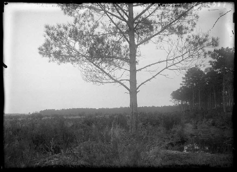 Ancien gué des Goulhs - Goulh (Commensacq) (Titre attribué)_0
