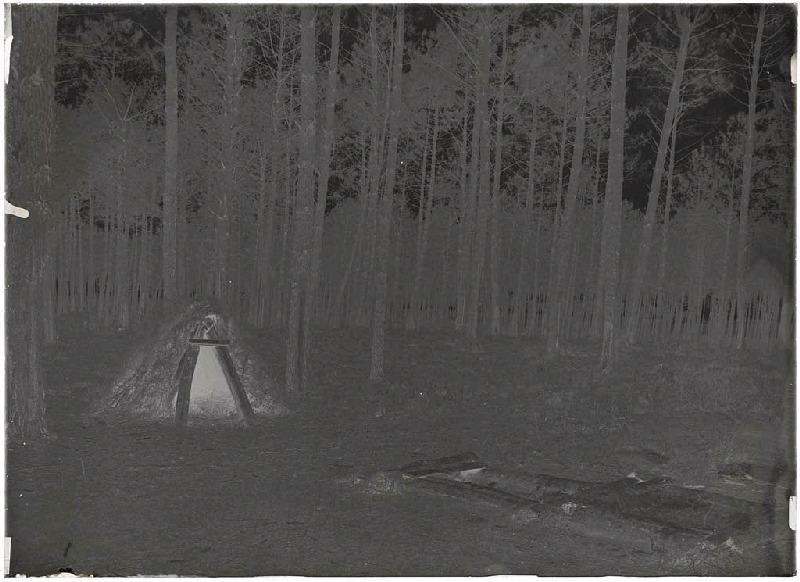 La Cabane - Commensacq (Landes) (Titre attribué)_1