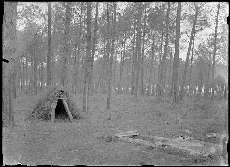 La Cabane - Commensacq (Landes) (Titre attribué)_0