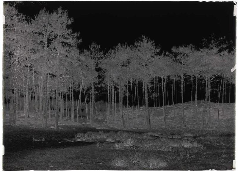 Chemin de la Poste - La Basse (Escource) (Titre attribué)_1