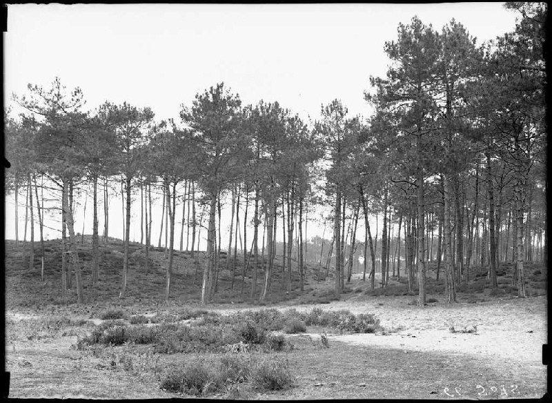 Chemin de la Poste - La Basse (Escource) (Titre attribué)_0
