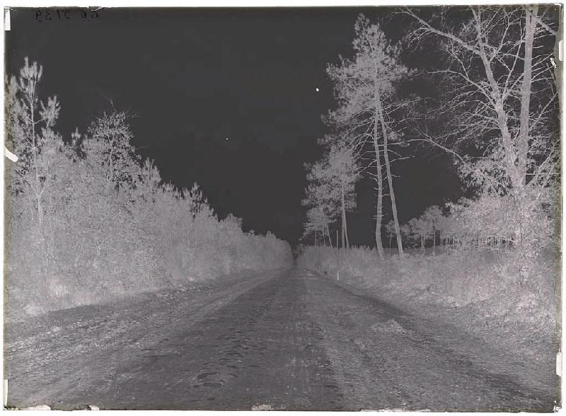 Route, vieux pavés - Sabres (Landes) (Titre attribué)_1