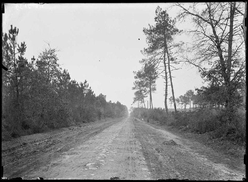 Route, vieux pavés - Sabres (Landes) (Titre attribué)_0
