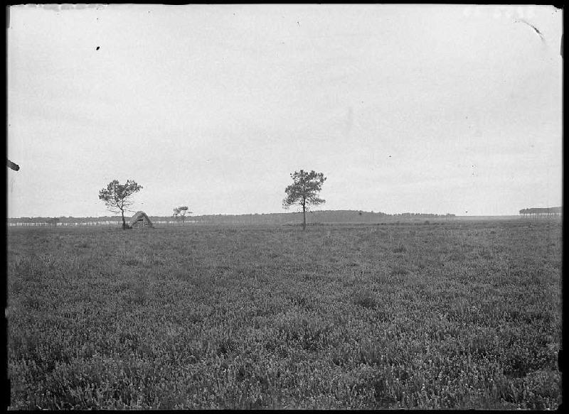 borde de ... - Luxey (Landes) (Titre attribué), Félix Arnaudin, 1908 /11 /26