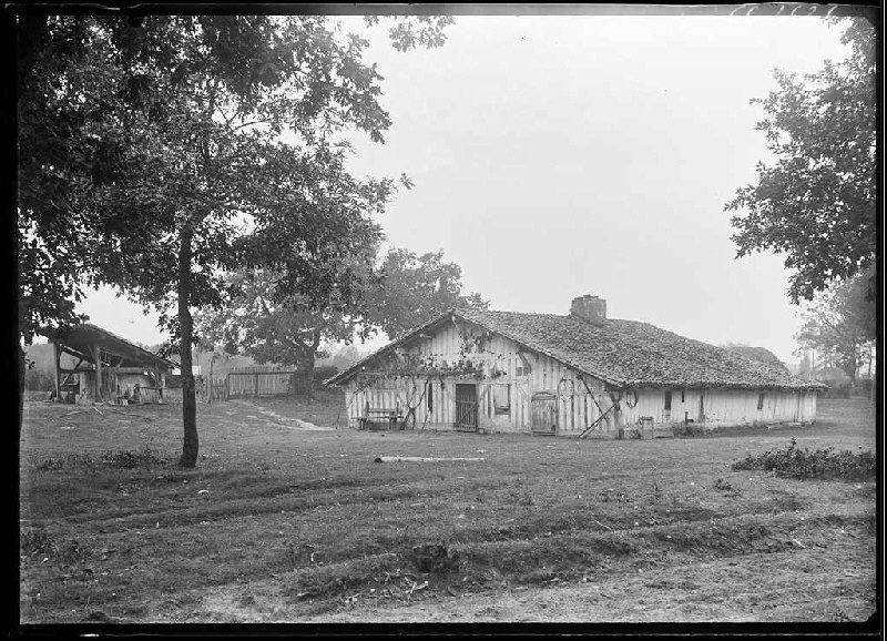 Maison et four à pain - Bourricos (Pontenx) (Titre attribué)_0