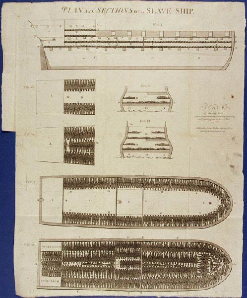 Plan and section of a slave ship_0