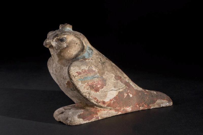 Oiseau Akhem