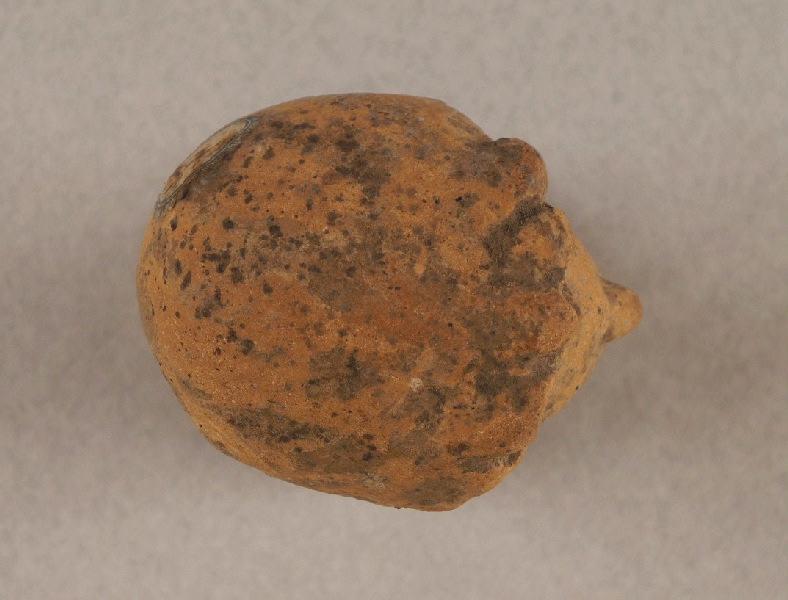 Tête d'Alexandre le Grand_2